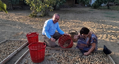 Karakoz, İncir Üreticisi En Az 120 TL Fiyat Bekliyor