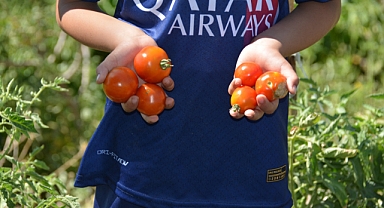 İzmir’de mahalle bostanı üreticileri artık sertifikalı