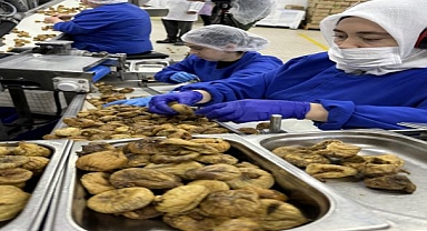 Yeni İhracat Hedefi 2 Milyar Dolar