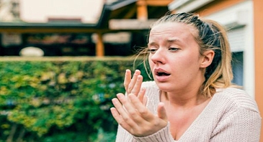 Ormanlık alanlardan uzak durun, çünkü… 