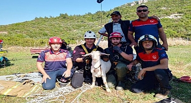 Yürekleri Isıtan Kurtarma Operasyonu 