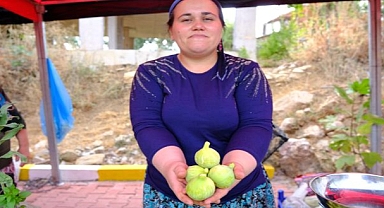 Festival rüzgarı Bozalan'dan esecek
