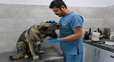 Çörekçi’nin Emanetlerine Büyükşehir Sahip Çıktı