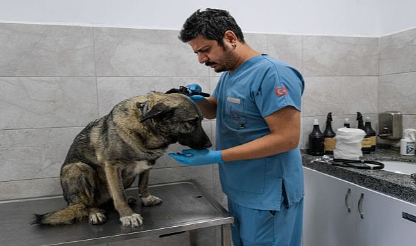 Çörekçi’nin Emanetlerine Büyükşehir Sahip Çıktı