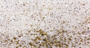 DEÜ’lü Alpaydın Uyardı: Rutubet Sağlığı Tehdit Ediyor