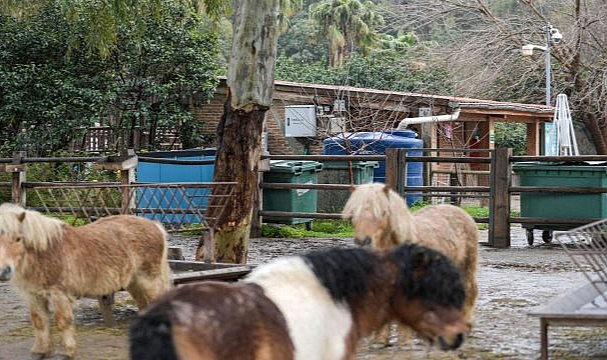 İzmir’de yağmur suyu hasadı yaygınlaşıyor
