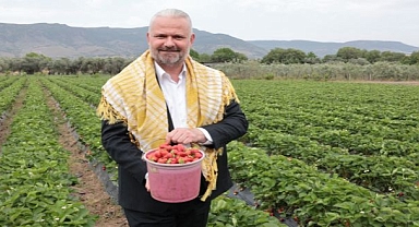 Uluslararası Emiralem Çilek Festivali için geri sayım